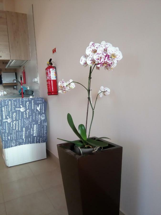 阿科达卡列塔Casa Mao-Cheia公寓 外观 照片